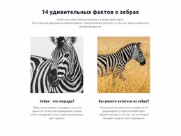 Удивительные Факты О Зебрах — Простая Торговая Площадка Сообщества