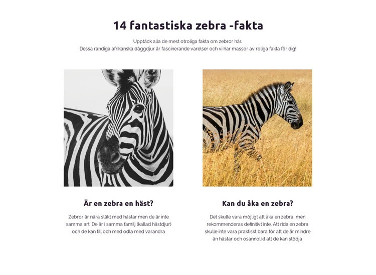 Fantastiska zebra -fakta Hemsidedesign