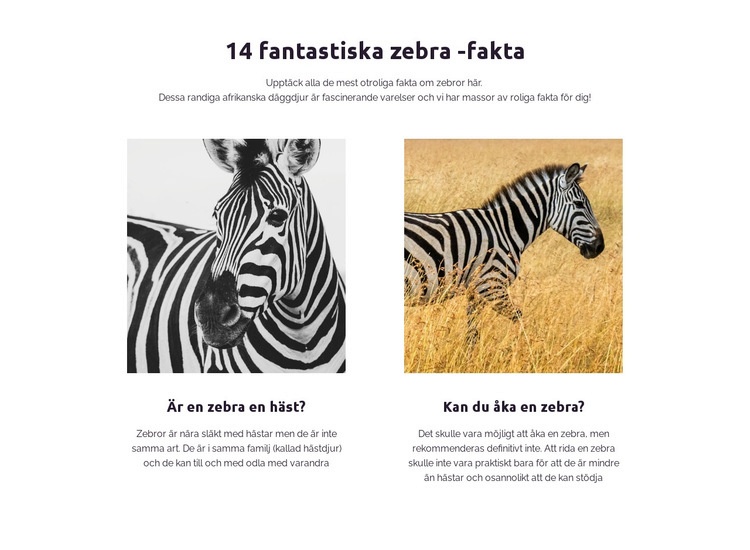 Fantastiska zebra -fakta HTML-mall