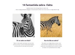 Fantastiska Zebra -Fakta - Målsida