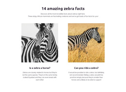Best Practices For Amazing Zebra Facts