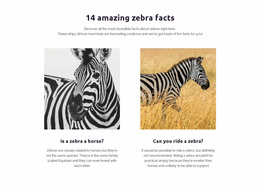 Amazing Zebra Facts - Custom Homepage Design