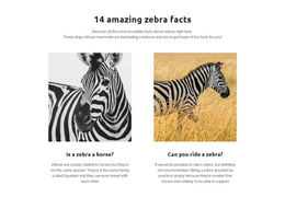 Stunning WordPress Theme For Amazing Zebra Facts