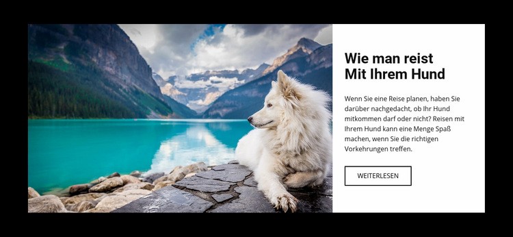 Reisen Sie für Ihren Hund Website-Modell