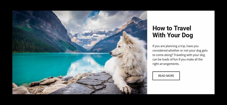 Travel with your dog Elementor Template Alternative