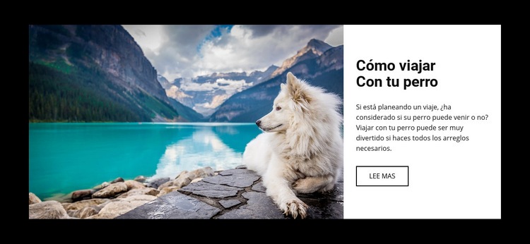 Viaje para su perro Creador de sitios web HTML