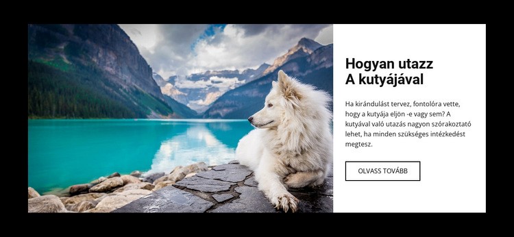 Utazzon kutyájával Weboldal tervezés