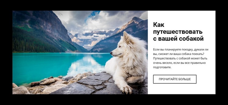Путешествие для вашей собаки Конструктор сайтов HTML