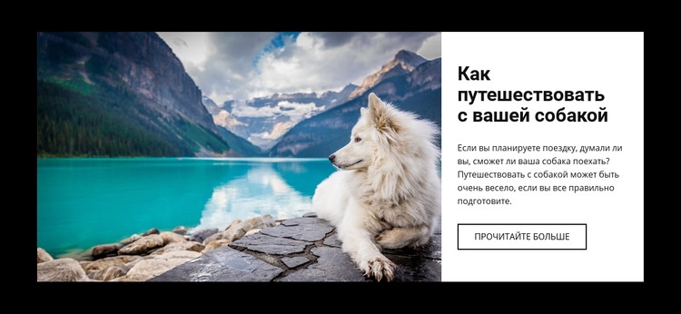 Путешествие для вашей собаки Шаблоны конструктора веб-сайтов