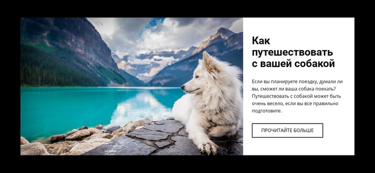 Путешествие для вашей собаки Мокап веб-сайта