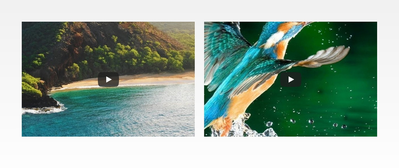 Nature water sea Squarespace Template Alternative