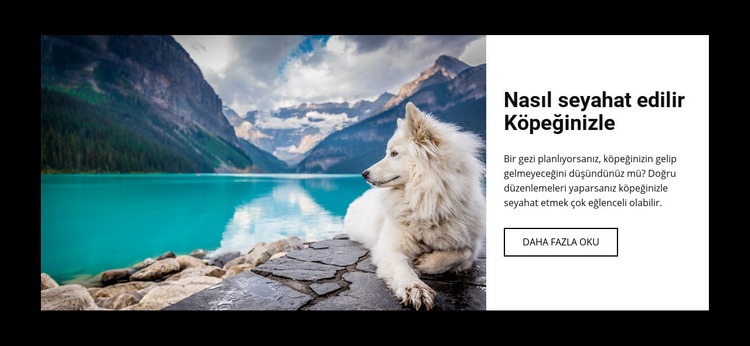 Köpeğiniz için Seyahat Web Sitesi Mockup'ı