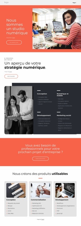 Nous Sommes Le Grand Studio Numérique - Belle Conception De Site Web