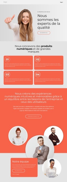 Conception Du Site Pour Nous Concevons De Grandes Marques