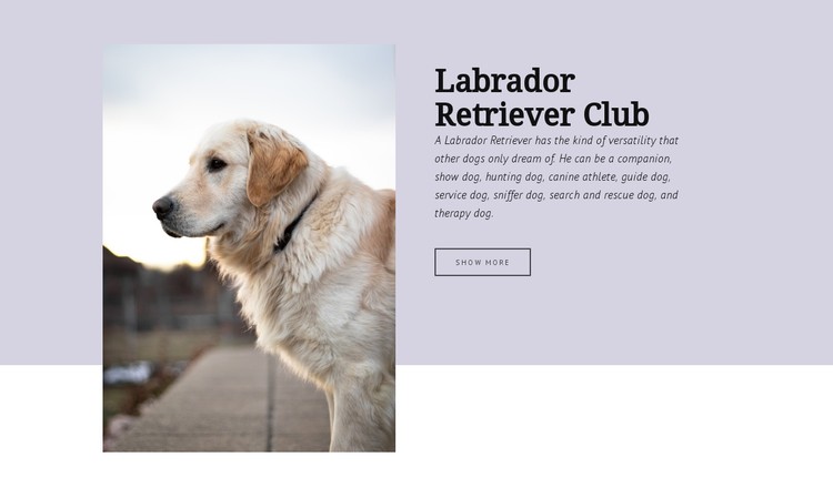 Labrador retriever club CSS Template