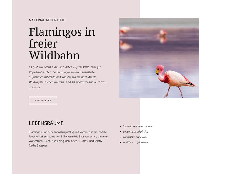 Wilde Flamingos HTML-Vorlage