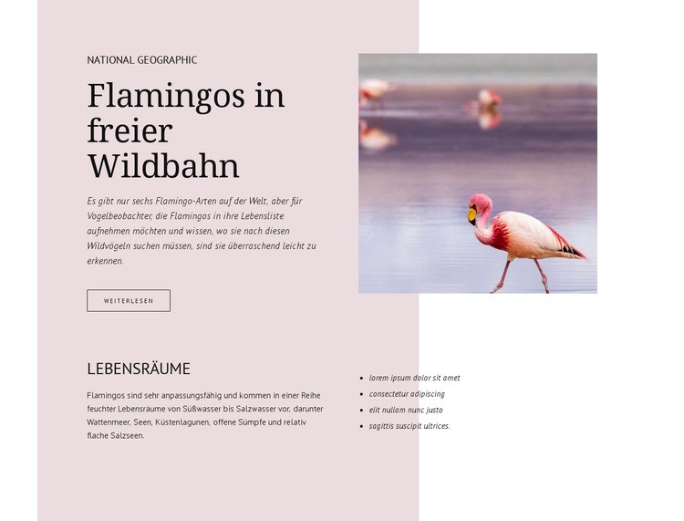 Wilde Flamingos Website Builder-Vorlagen