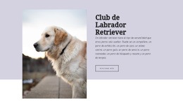 Club De Labrador Retriever - Diseño Responsivo