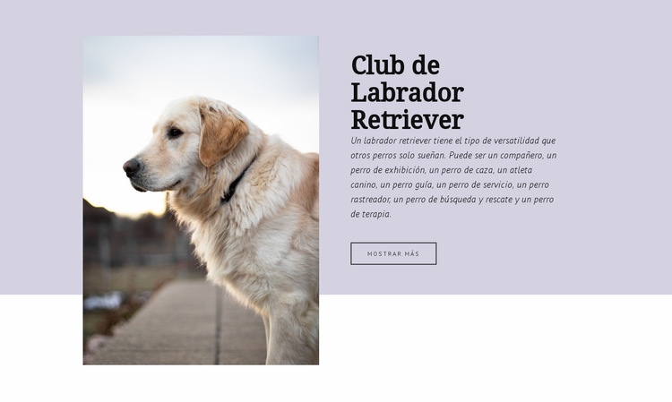 Club de labrador retriever Maqueta de sitio web