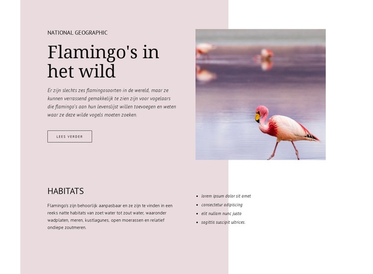 Wilde flamingo's Bestemmingspagina