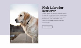 Klub Labrador Retriever - HTML Ide