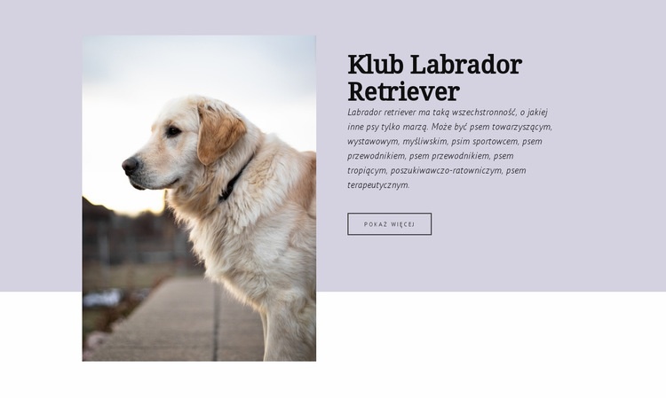 Klub Labrador Retriever Makieta strony internetowej