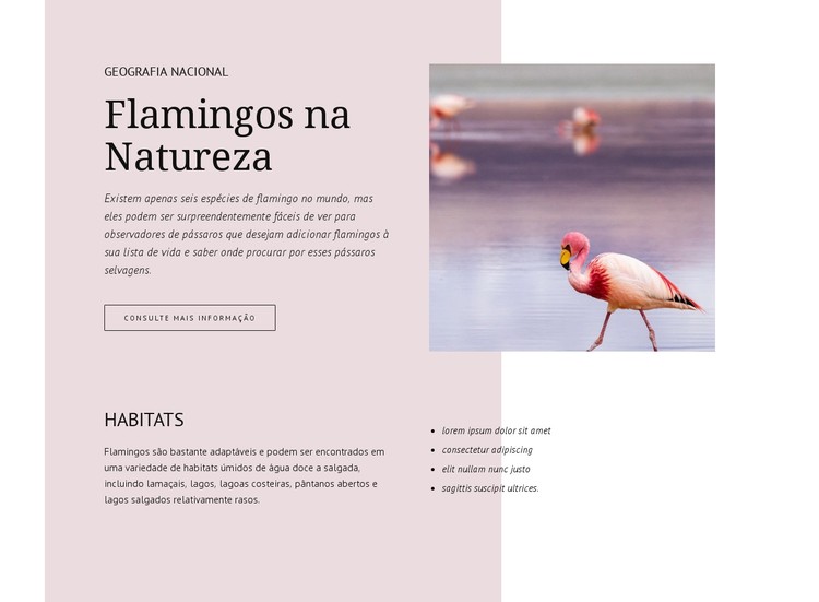Flamingos selvagens Template CSS