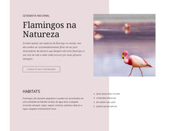 Flamingos Selvagens - Modelo De Site Simples