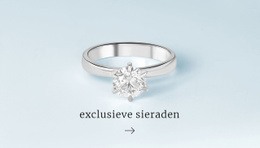 Multifunctioneel Websiteontwerp Voor Exclusieve Ringen