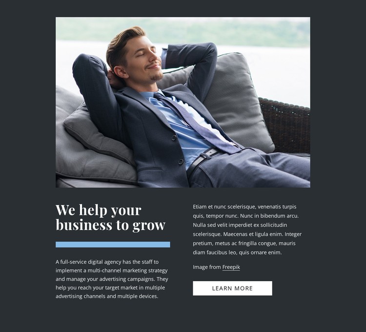 We grow businesses CSS Template