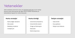 Özellikler Tek Sayfalık Şablon