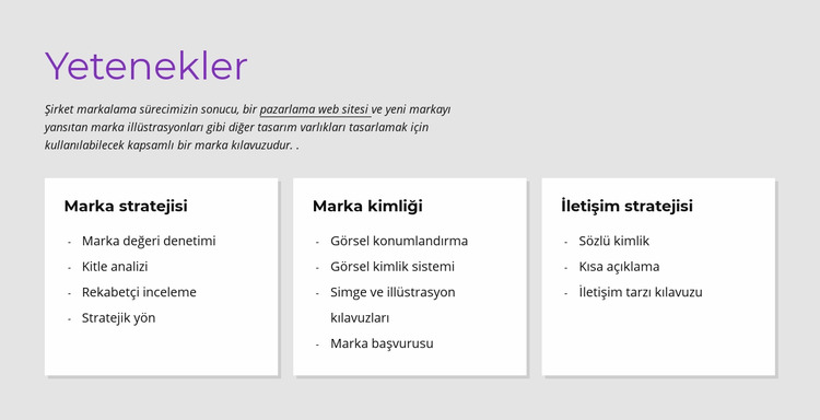 Özellikler Joomla Şablonu