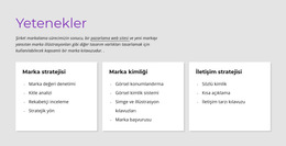Özellikler - En Iyi Web Sitesi Şablonu