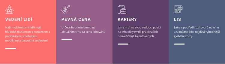 Naše obchodní výhody Šablona CSS