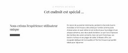 Texte À Propos De Nous - Conception D'Une Seule Page