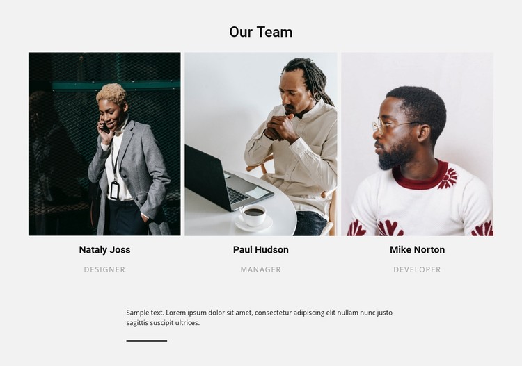 Our team and text CSS Template