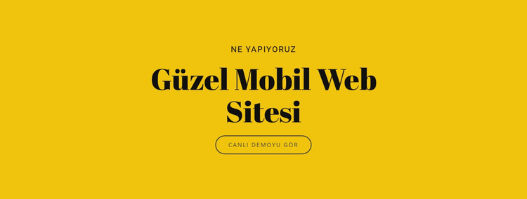 Güzel Mobil Web Sitesi WordPress Teması