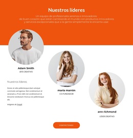 Tema Premium De WordPress Para Líderes De La Empresa