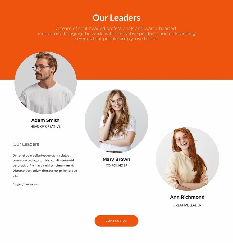 Company leaders Web Page Design
