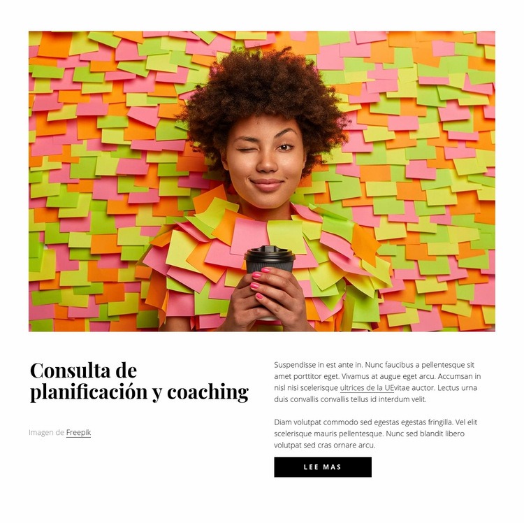 Consulta de planificación y coaching Maqueta de sitio web