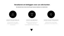 Exclusieve Websitebouwer Voor Drie Werkrichtingen