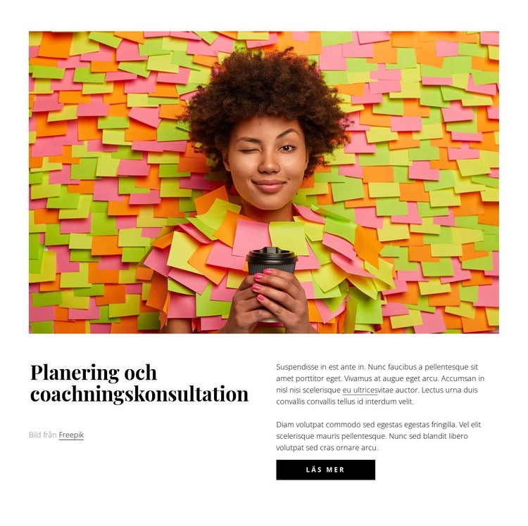 Planering och coachningskonsultation Webbplats mall