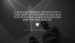 Multifunktionell Webbdesign För Fotogranskning