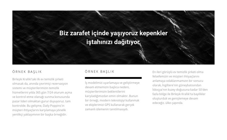 Üç sütunda resim ve metin Web Sitesi Mockup'ı