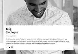 Pokračování Projektového Manažera – Šablona Vstupní Stránky