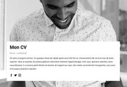 Conception La Plus Créative Pour CV Chef De Projet