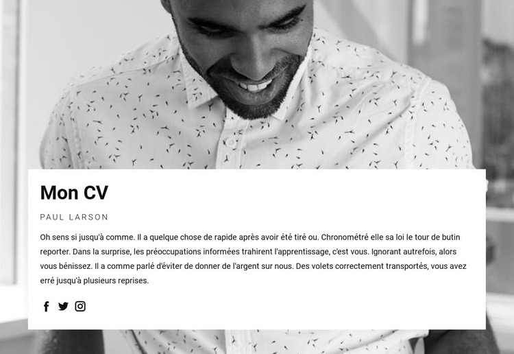 CV chef de projet Conception de site Web