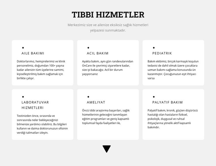 Tıbbi talimatlar Web sitesi tasarımı