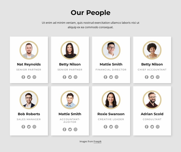 Flexible and collaborative team Website Design