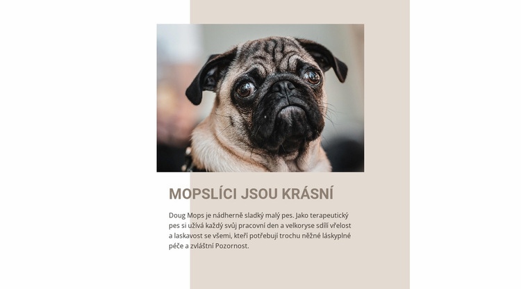 Mopslíci jsou krásní Šablona